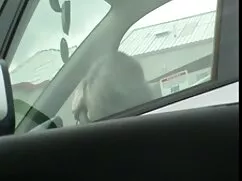 Petrol, amatör bakire porno Rachel ve Louise yanı