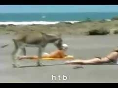 Büyük amatör bakire porno memeli