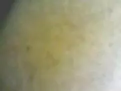 Lauren Phoenix yemiş bakire kızlar ifşa
