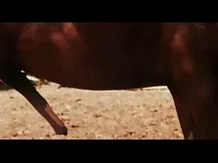 Evde kadınlar türk bakire bozma video